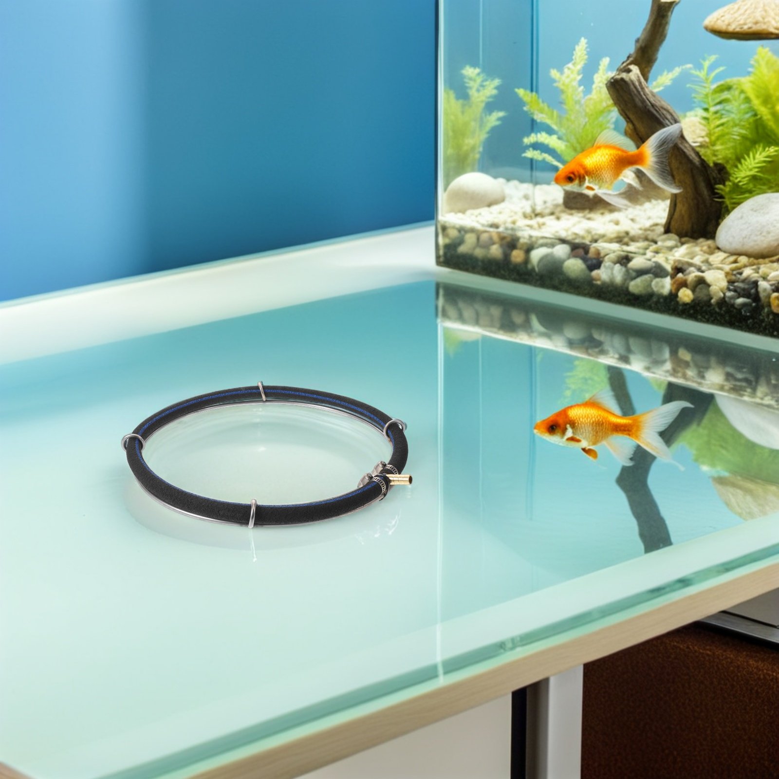 Fish Tank Aerator Bubble Gener - Air Diffuser Disc Bubble Aeration Pond ulasan dan harga